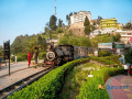 darjeeling-7-point-tour-small-4