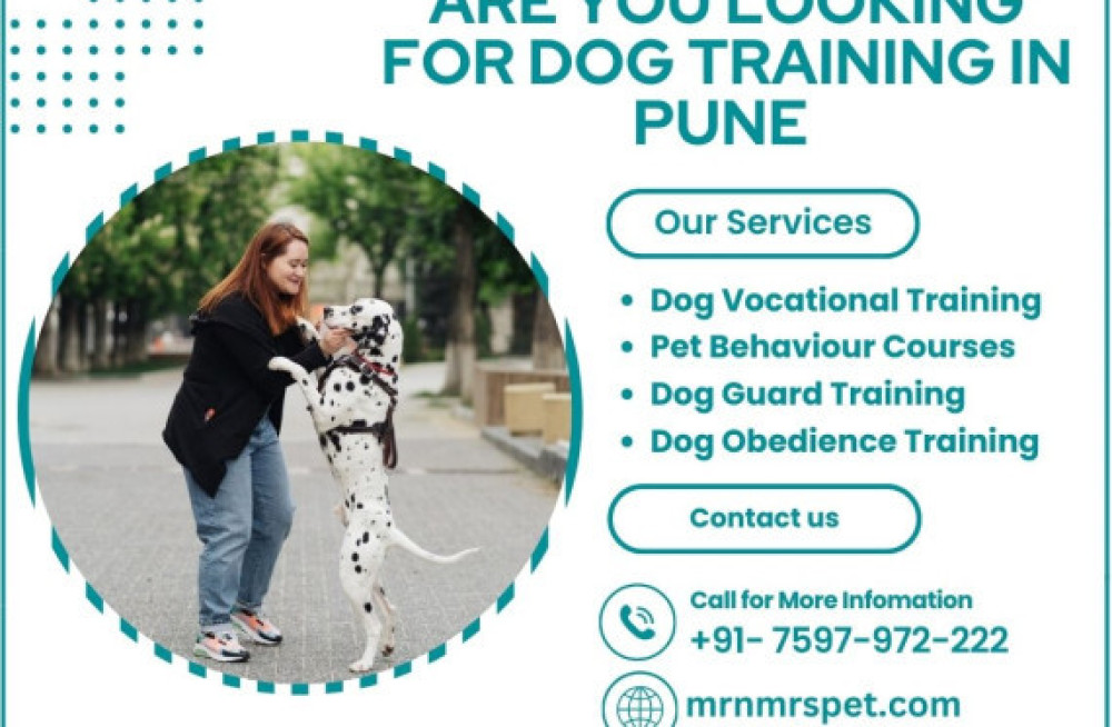 best-dog-training-in-pune-big-0