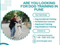 best-dog-training-in-pune-small-0