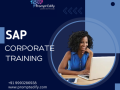 sap-training-in-south-africa-essential-skills-for-todays-workforce-small-0