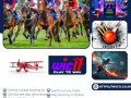 tiger-dragon-online-casino-wic11-small-0