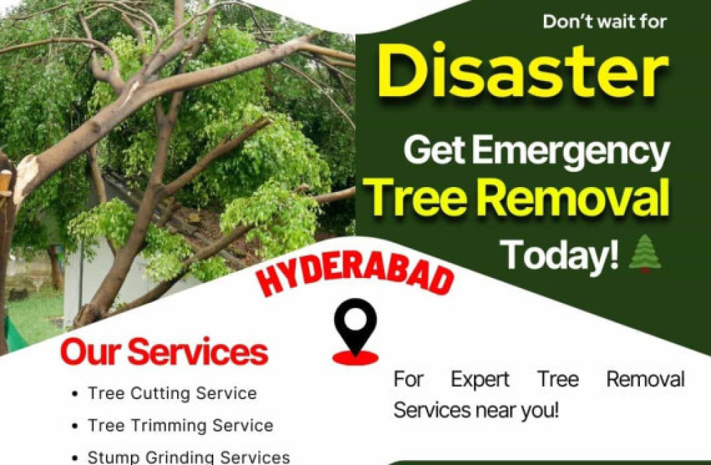 emergency-tree-removal-services-in-hyderabad-nhn-tree-cutting-services-big-0