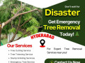 emergency-tree-removal-services-in-hyderabad-nhn-tree-cutting-services-small-0