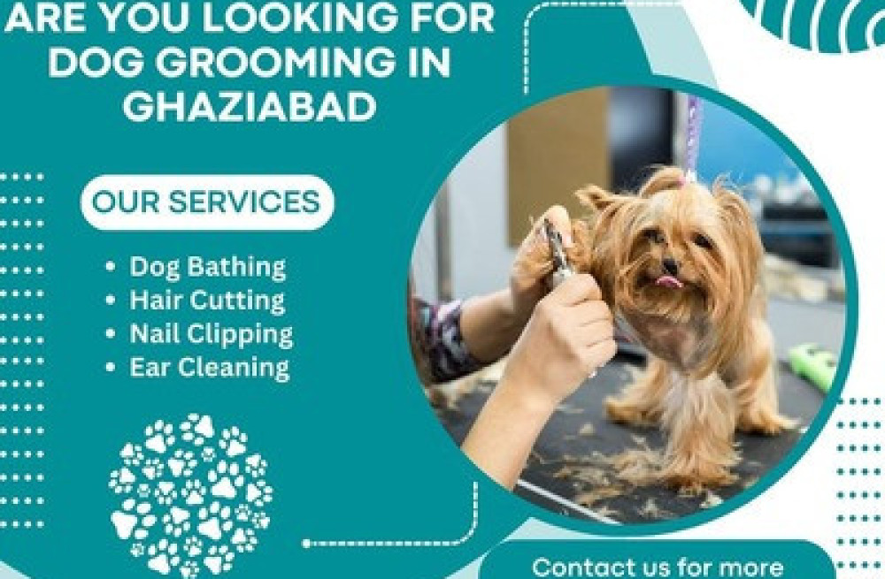 the-best-dog-grooming-in-ghaziabad-big-0