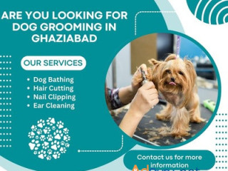 The Best Dog Grooming in Ghaziabad