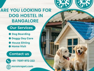 Best Dog Hostel in Bangalore at Affordable Price