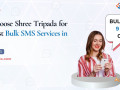 why-to-choose-shree-tripada-for-the-best-bulk-sms-services-in-delhi-small-0