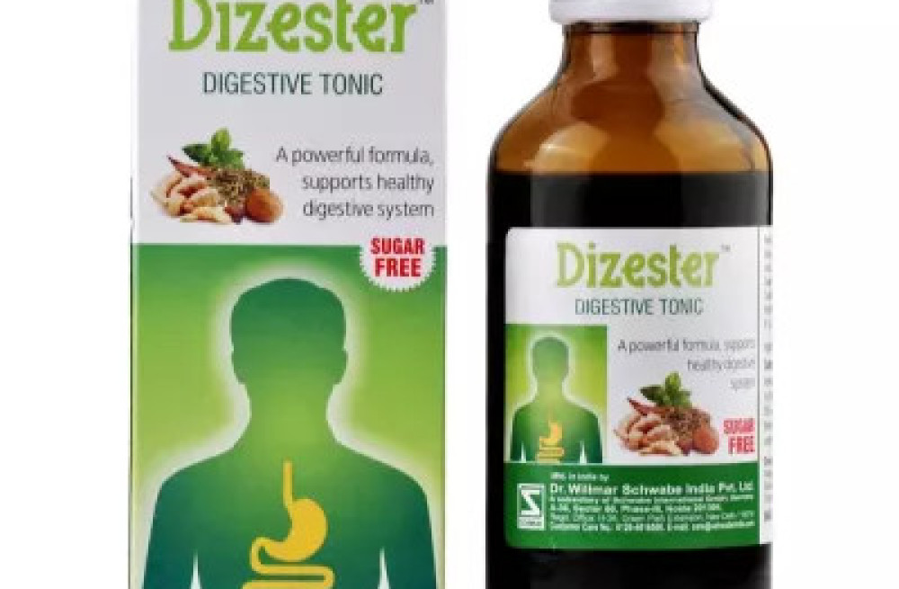 buy-willmar-schwabe-india-dizester-to-improve-your-digestion-big-0