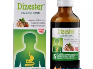 Buy Willmar Schwabe India Dizester to Improve your Digestion