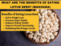 discover-the-surprising-health-benefits-of-lotus-seeds-small-0