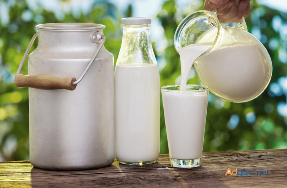 premium-a2-gir-cow-milk-at-affordable-prices-order-now-big-0