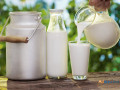 premium-a2-gir-cow-milk-at-affordable-prices-order-now-small-0