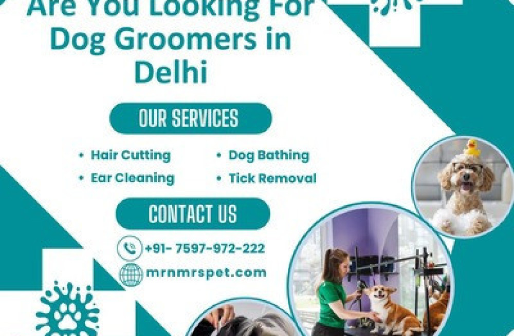 best-dog-groomers-in-delhi-big-0