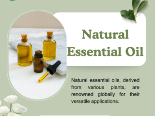 Natural Essential Oils Wholesalers in India