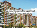 kalpataru-blossoms-sinhagad-road-premium-living-in-punes-heart-small-0