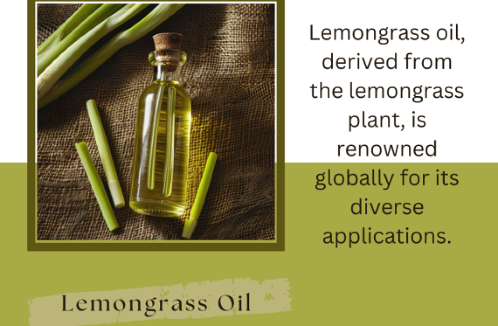 lemongrass-oil-wholesalers-in-india-big-0