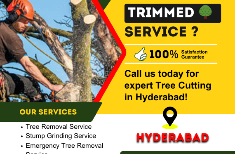 tree-trimming-service-in-hyderabad-nhn-trees-cutting-big-0