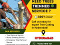 tree-trimming-service-in-hyderabad-nhn-trees-cutting-small-0