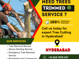 Tree Trimming Service in Hyderabad – NHN Trees Cutting