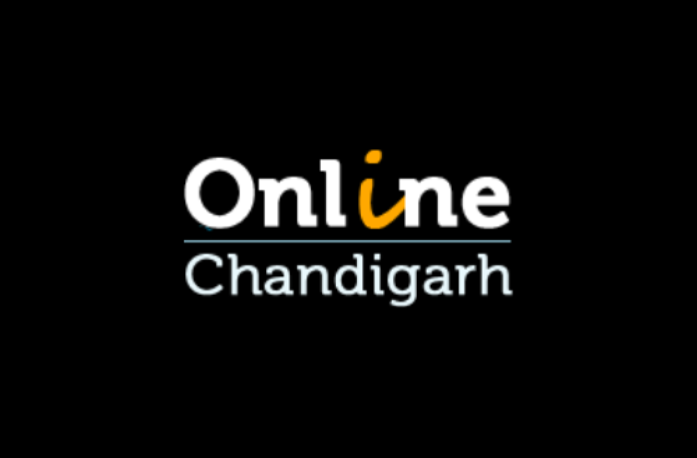 online-chandigarh-seo-company-in-mohali-big-0