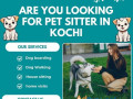 the-best-pet-sitter-in-kochi-small-0