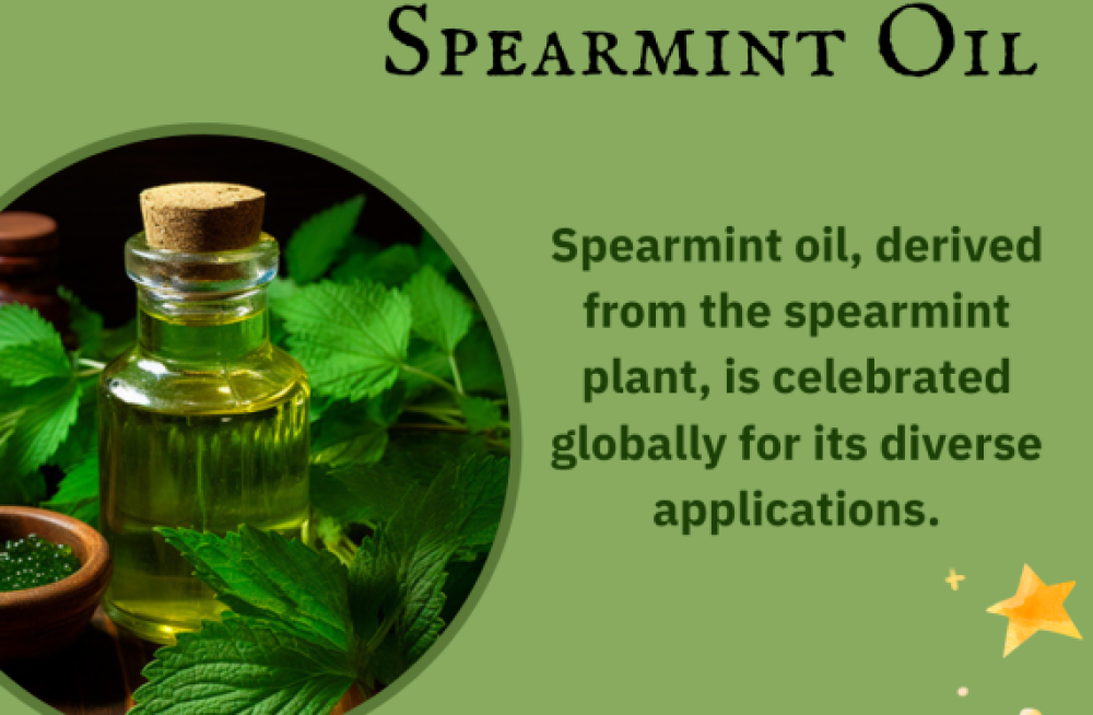 spearmint-oil-suppliers-in-india-big-0