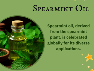 Spearmint Oil Suppliers in India