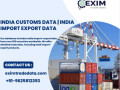 india-import-export-data-india-customs-data-small-0