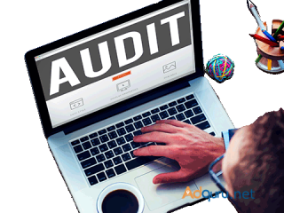 Reliable Online Audit Service Provider in Delhi Book Now!