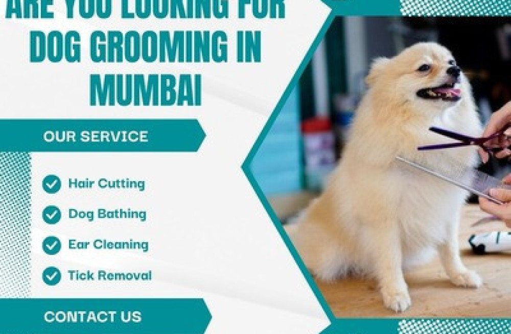 best-dog-grooming-in-mumbai-big-0