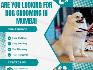 Best Dog Grooming in Mumbai