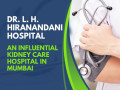 hiranandani-hospital-kidney-care-leading-excellence-in-kidney-health-small-0