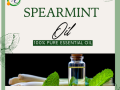 spearmint-oil-wholesalers-in-india-small-0