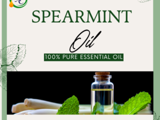 Spearmint Oil Wholesalers in India