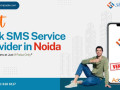 why-shree-tripada-is-best-bulk-sms-service-provider-in-noida-small-0