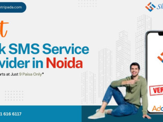 Why Shree Tripada is Best Bulk SMS Service Provider in Noida?