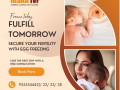 best-ivf-treatment-in-delhi-dr-rita-bakshi-small-1