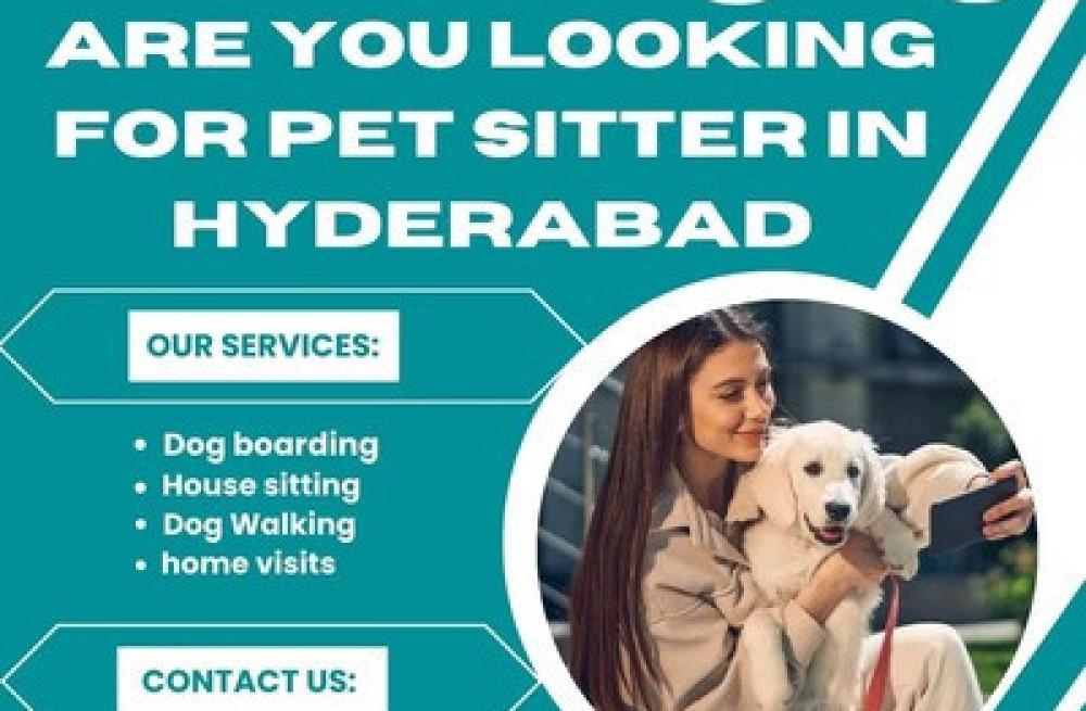 best-pet-sitter-in-hyderabad-big-0