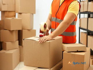 FedEx Gurgaon Packers Movers