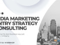 india-marketing-entry-strategy-consulting-small-0