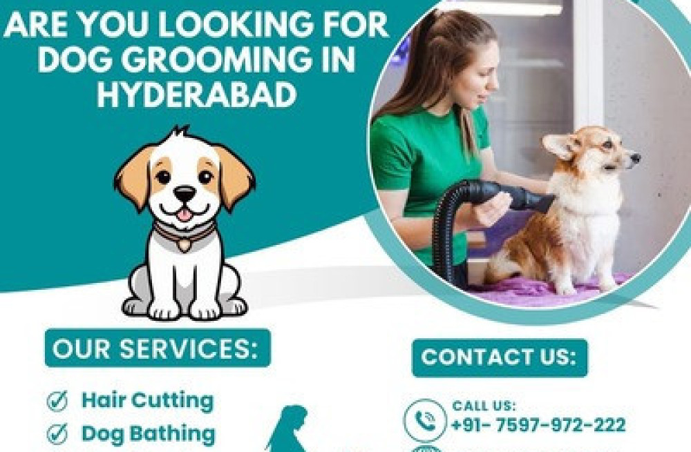 best-dog-grooming-in-hyderabad-at-affordable-price-big-0