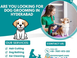 Best Dog Grooming in Hyderabad at Affordable Price