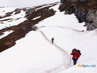 Want to know more about the Chopta Chandrashila Trek?