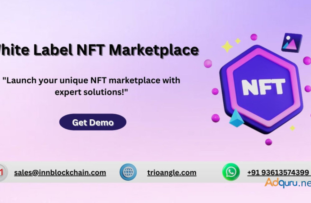 start-your-nft-with-our-white-label-nft-marketplace-big-0