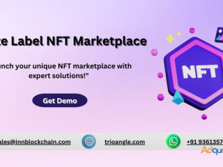 Start your NFT with our White Label NFT Marketplace