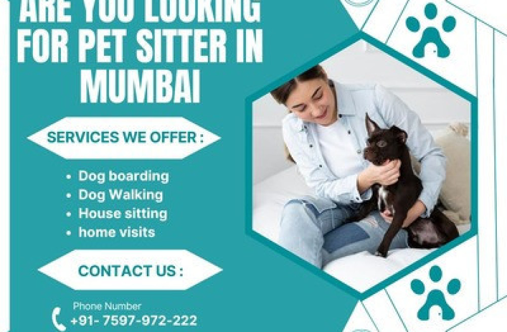 professional-pet-sitter-in-mumbai-big-0