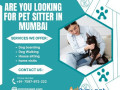 professional-pet-sitter-in-mumbai-small-0