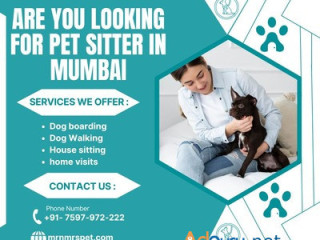 Professional Pet Sitter in Mumbai