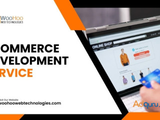 Professional Ecommerce Web Development Service