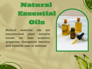 Natural Essential Oil Suppliers in India